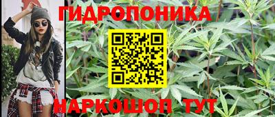 эйфоретик Славянск-на-Кубани