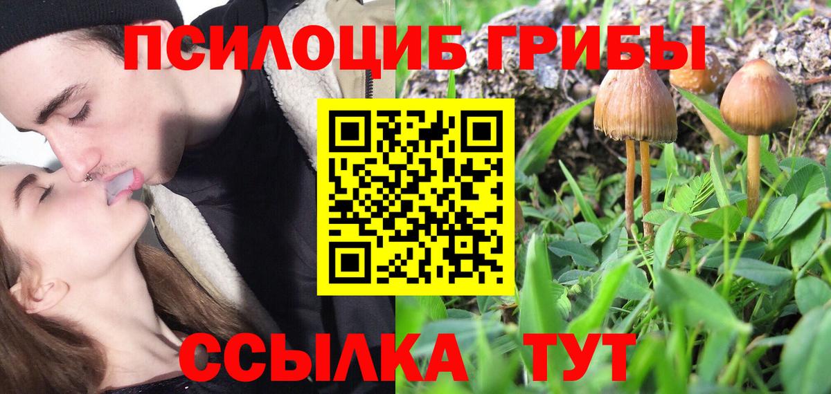 Галлюциногенные грибы прущие грибы Ангарск